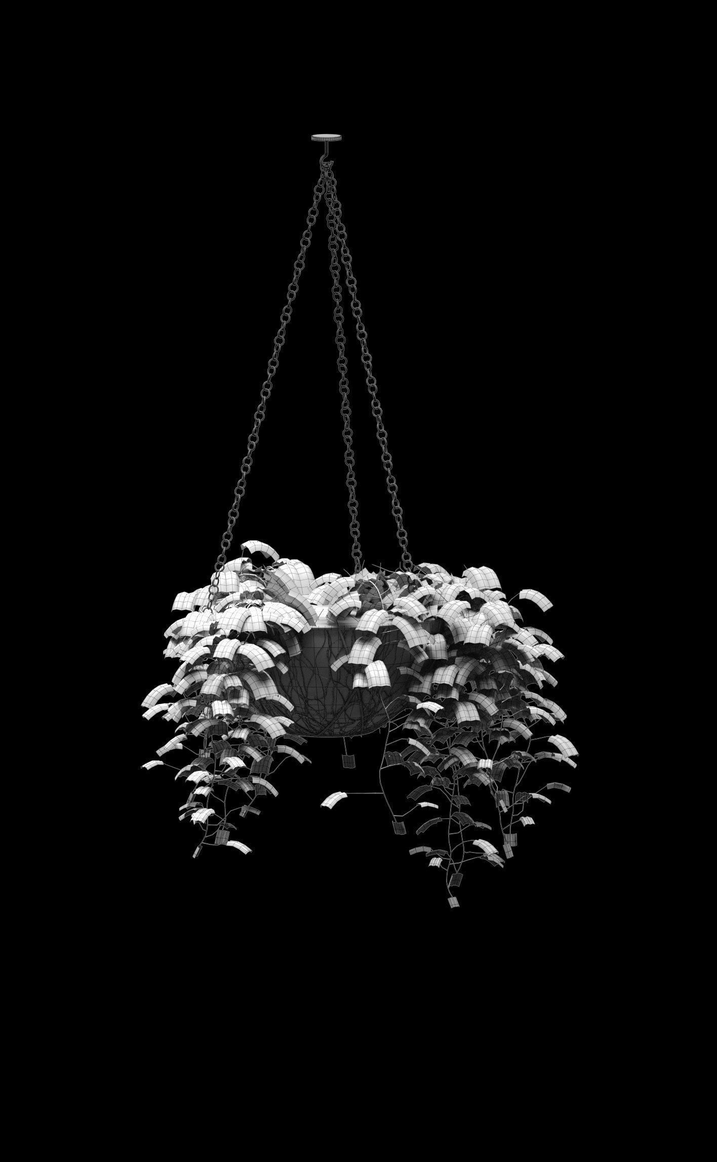 Hanging ivy in pots - 5 models 3D model_11