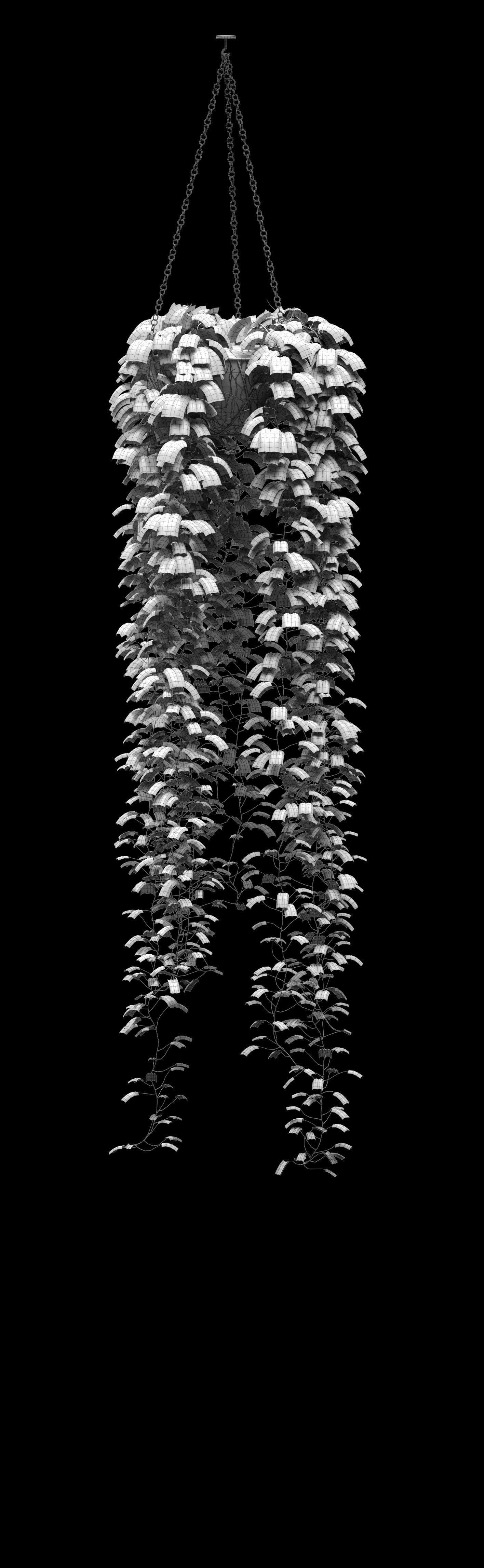 Hanging ivy in pots - 5 models 3D model_12