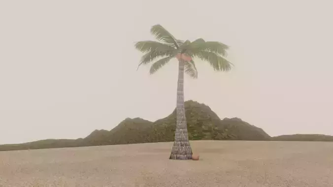 Beach Coconut Tree with Coconut