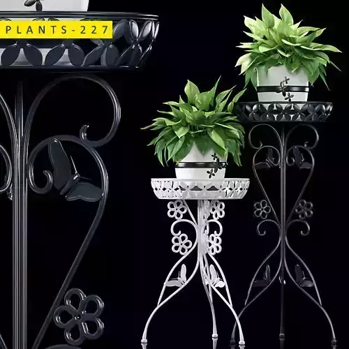 PLANTS 227 3D model