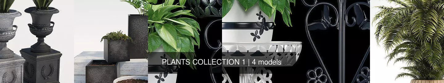 PLANTS COLLECTION 1 palm tree in pot _1