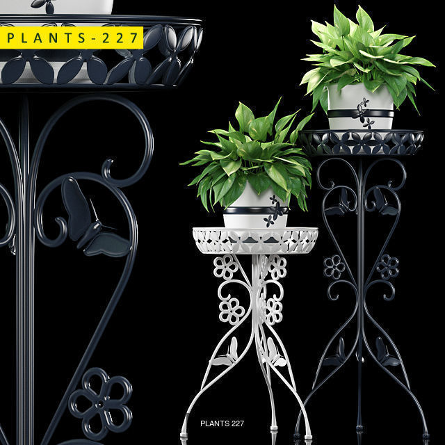 PLANTS COLLECTION 1 palm tree in pot _5