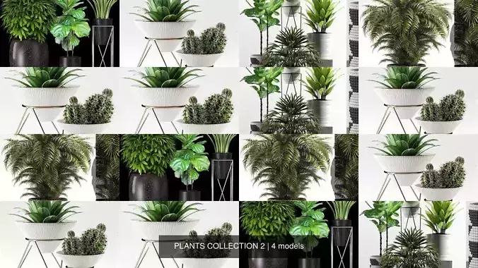 PLANTS COLLECTION 2 cactus planter