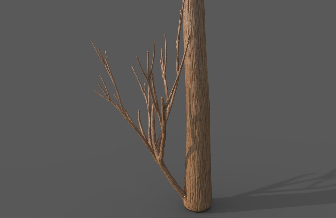 Cartoon Stylized Tree Trunk Set - 6 Piece 3D model_2