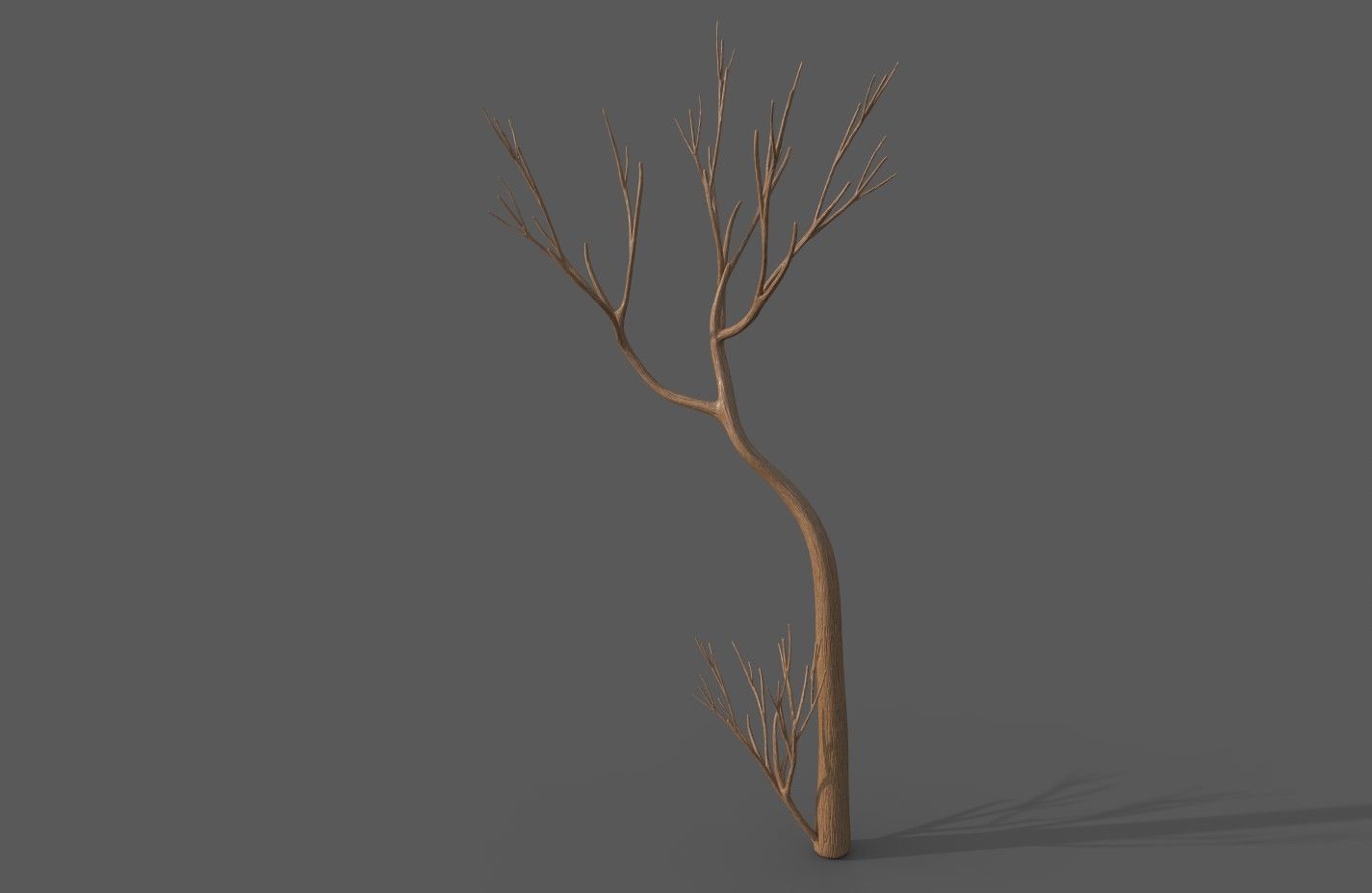 Cartoon Stylized Tree Trunk Set - 6 Piece 3D model_1