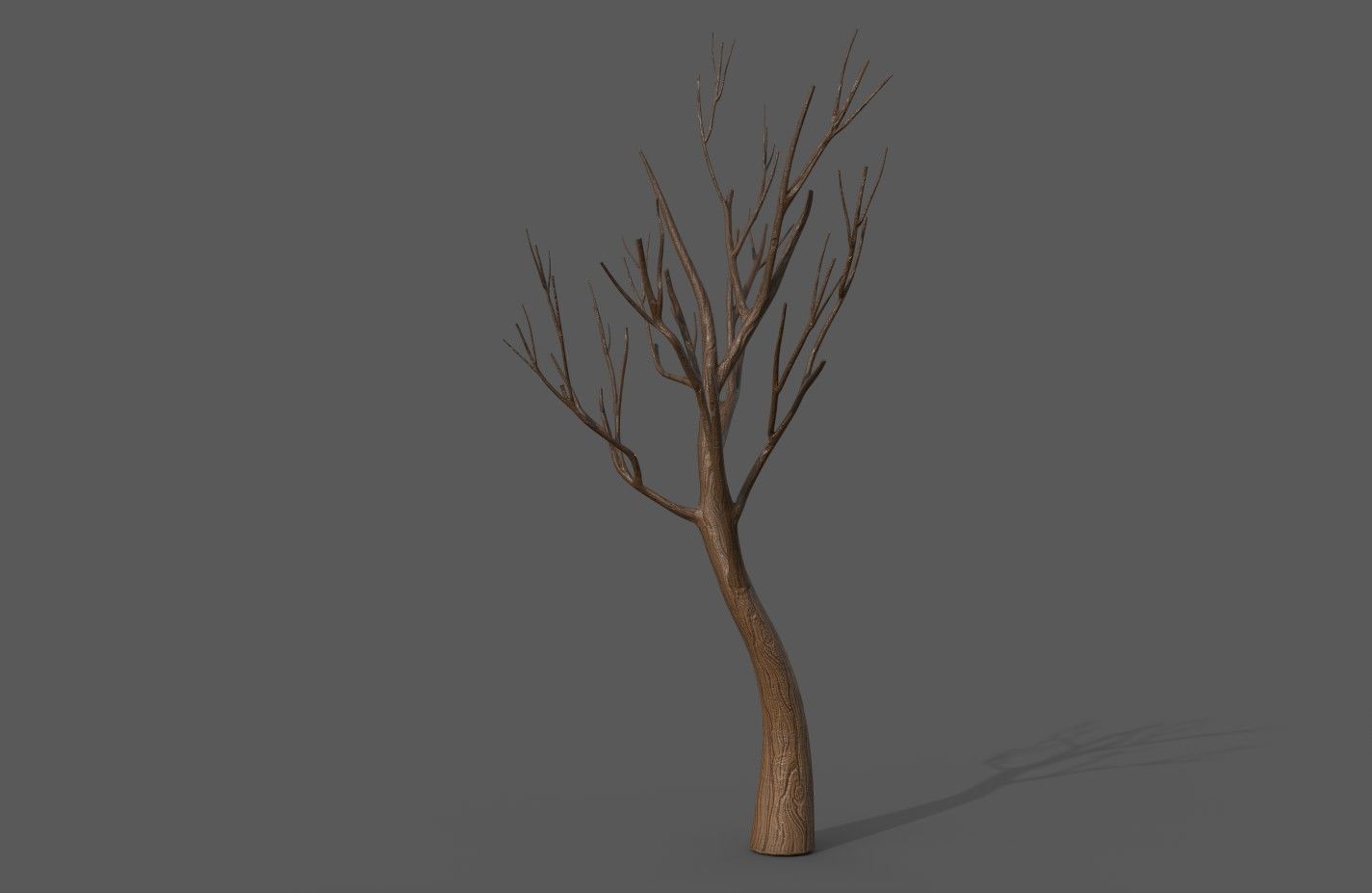 Cartoon Stylized Tree Trunk Set - 6 Piece 3D model_6