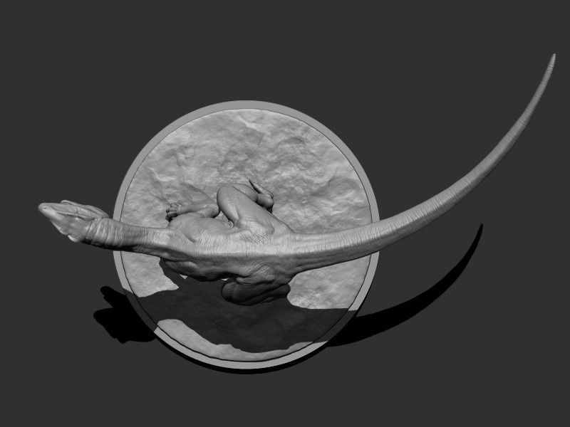 3D Raptor for Printing 3D print model_4