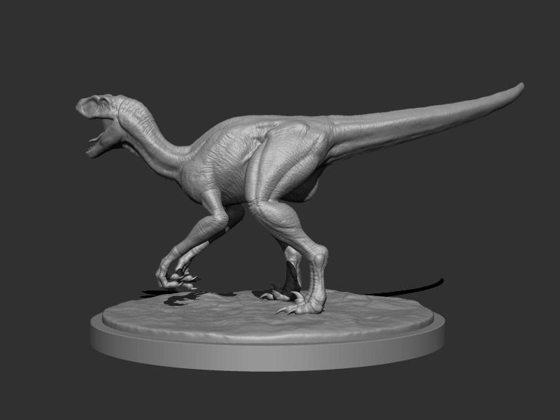 3D Raptor for Printing 3D print model_2