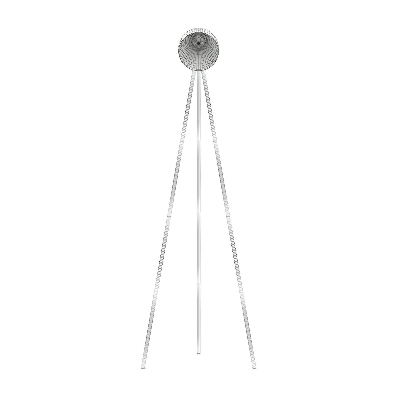 Black Floor Lamp 3D Model 3D model_3