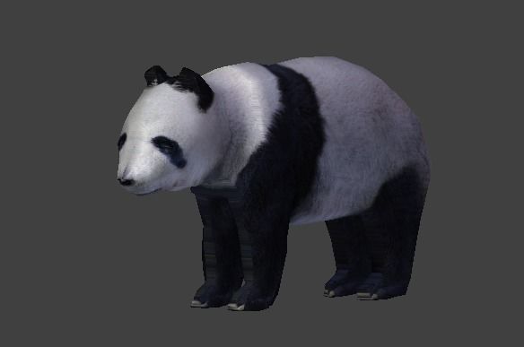 Panda Bear 3D model_4