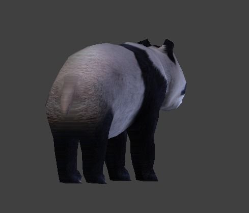 Panda Bear 3D model_7