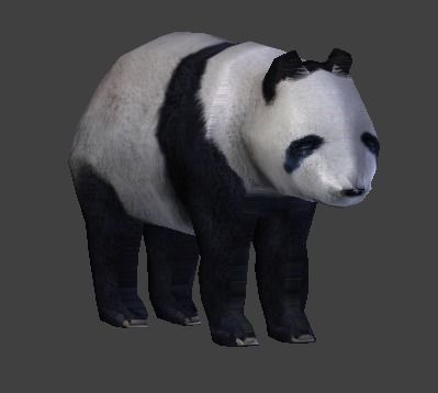 Panda Bear 3D model_2