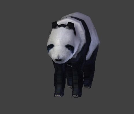 Panda Bear 3D model_3