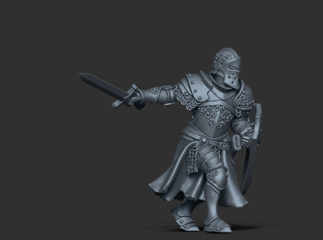 Paladin - Sir dorian 35mm scale 3D print model_9