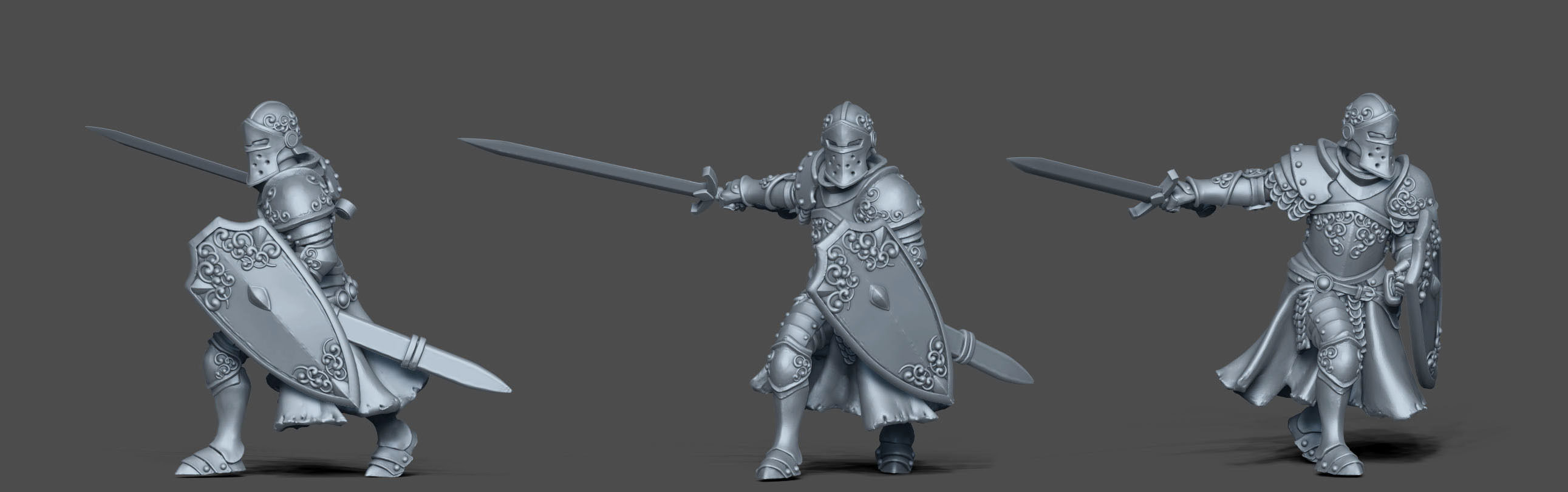 Paladin - Sir dorian 35mm scale 3D print model_11