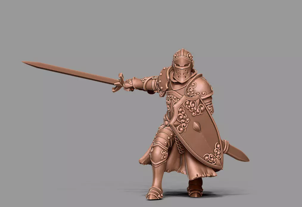 Paladin - Sir dorian 35mm scale 3D print model_0