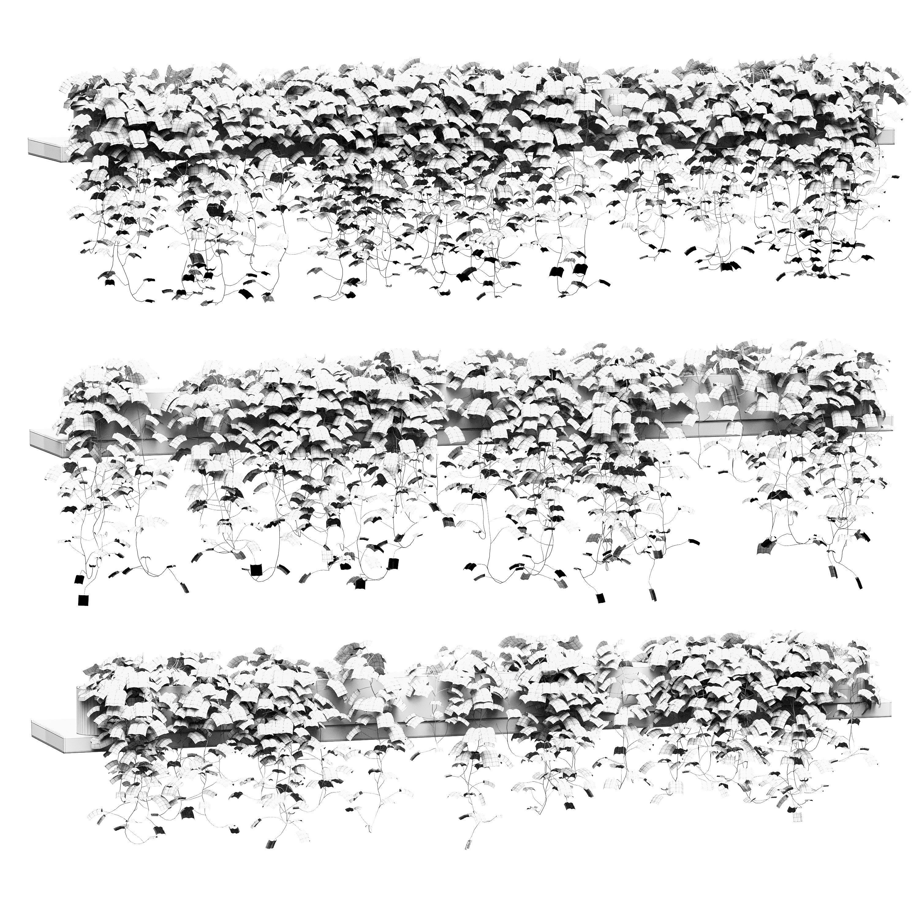 Hanging ivy in pots on long shelves - 3 models 3D model_1