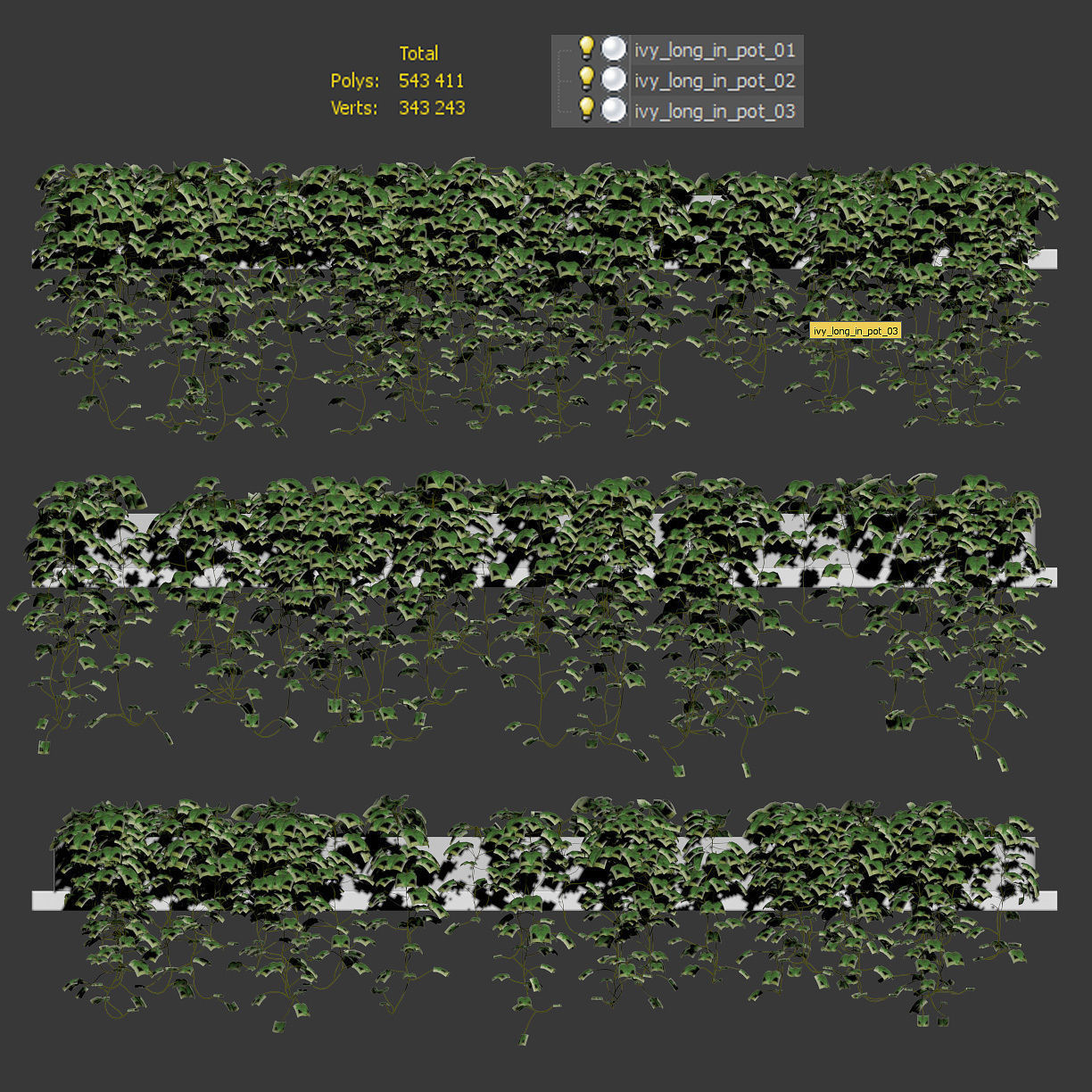 Hanging ivy in pots on long shelves - 3 models 3D model_2