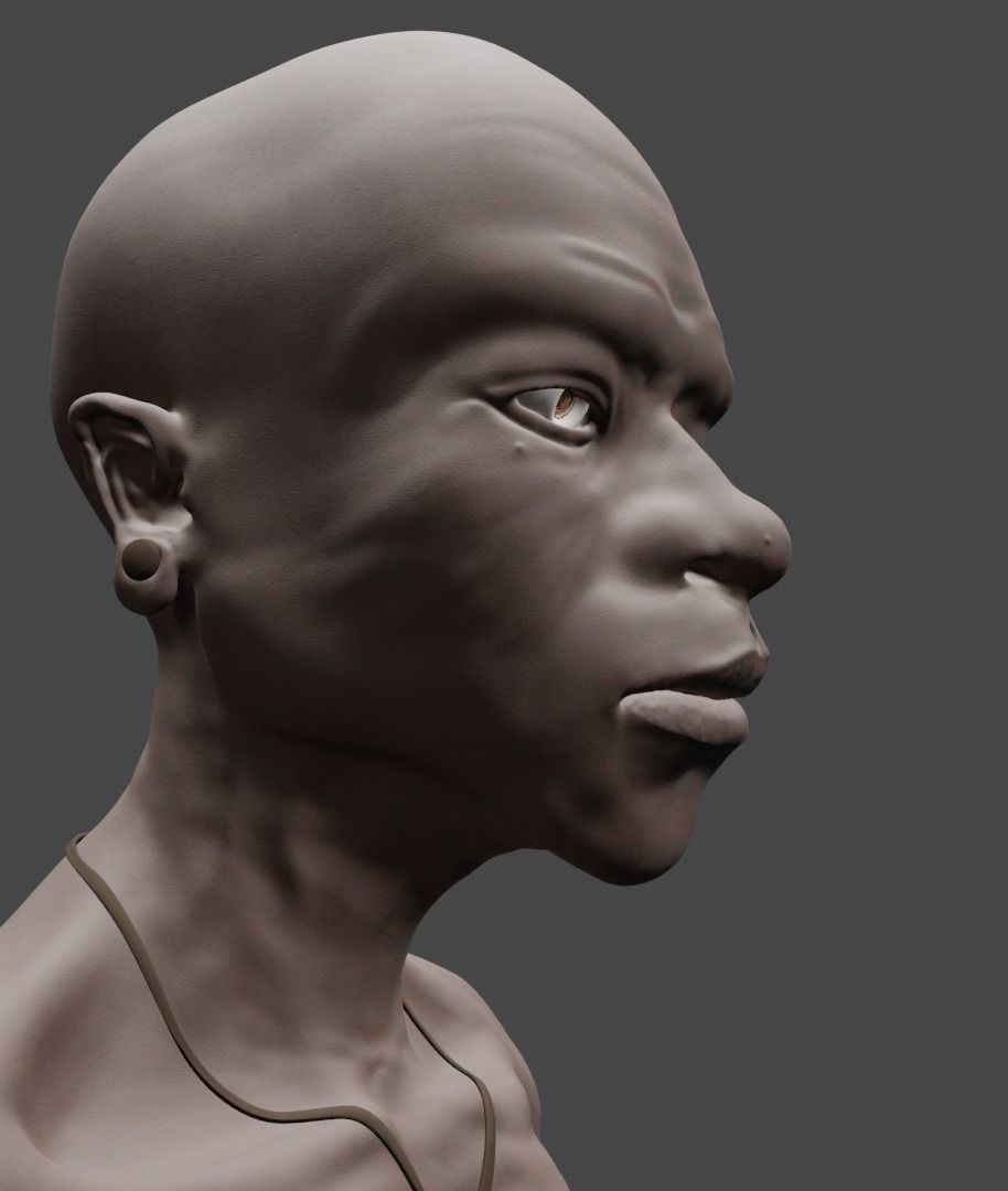 Head sculpture 01 Free 3D model_4