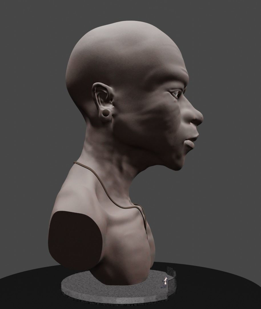 Head sculpture 01 Free 3D model_7