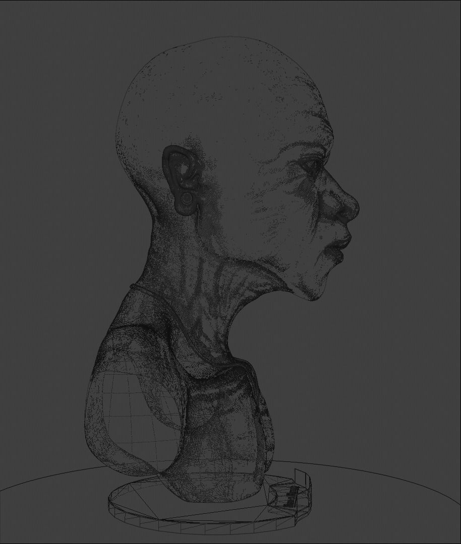 Head sculpture 01 Free 3D model_6