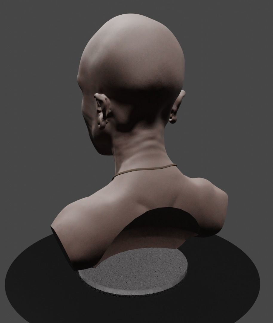 Head sculpture 01 Free 3D model_2
