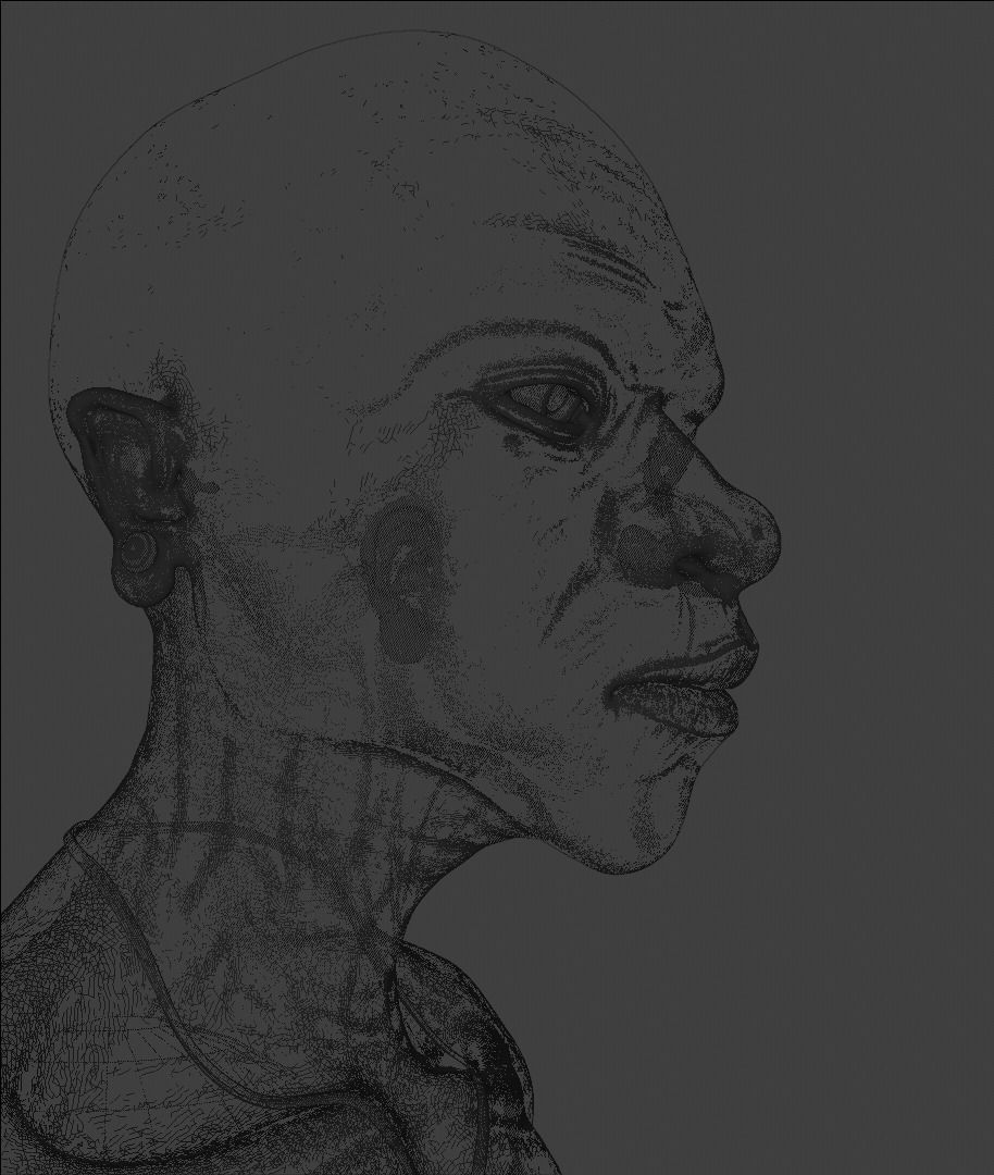 Head sculpture 01 Free 3D model_3