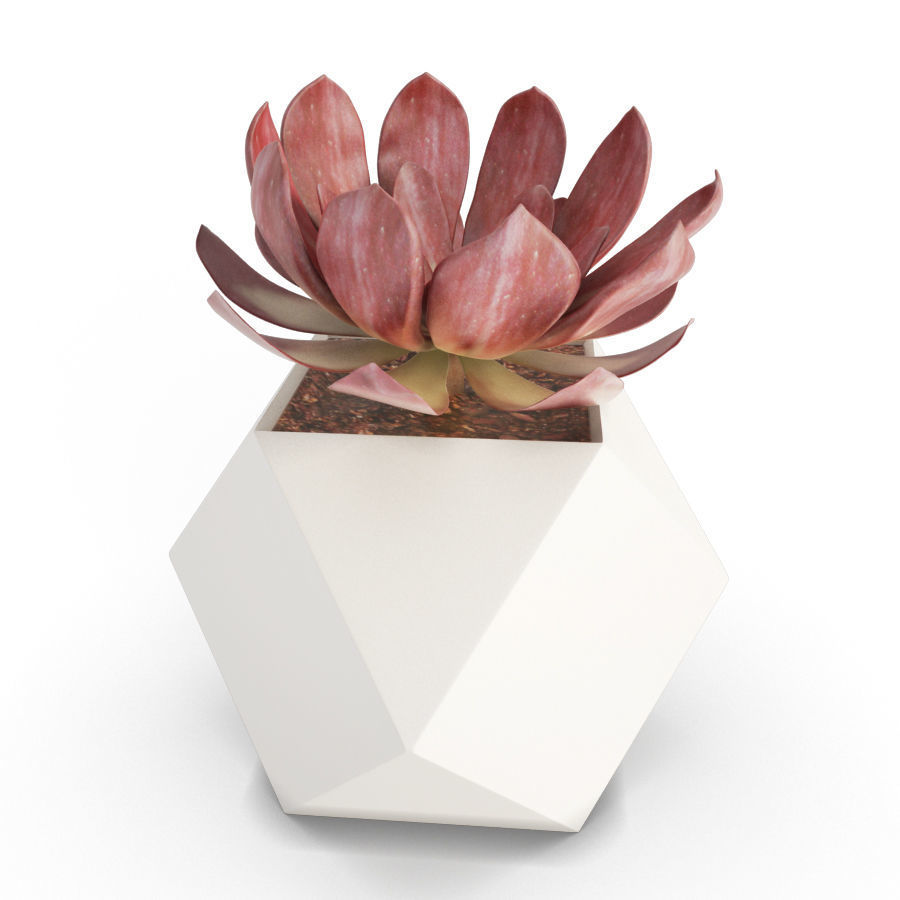 Wooden Decorative Objects 3D model_8