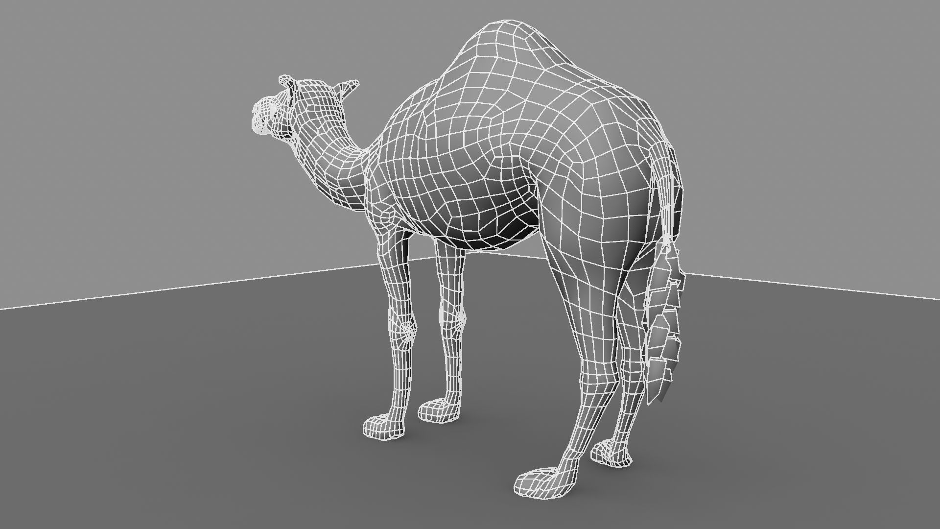 Camel 3D model_20