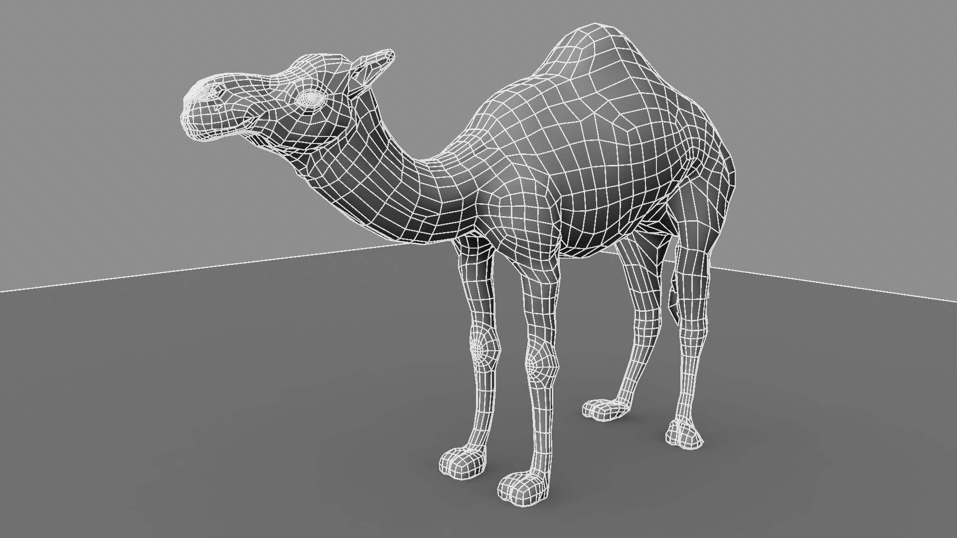 Camel 3D model_22