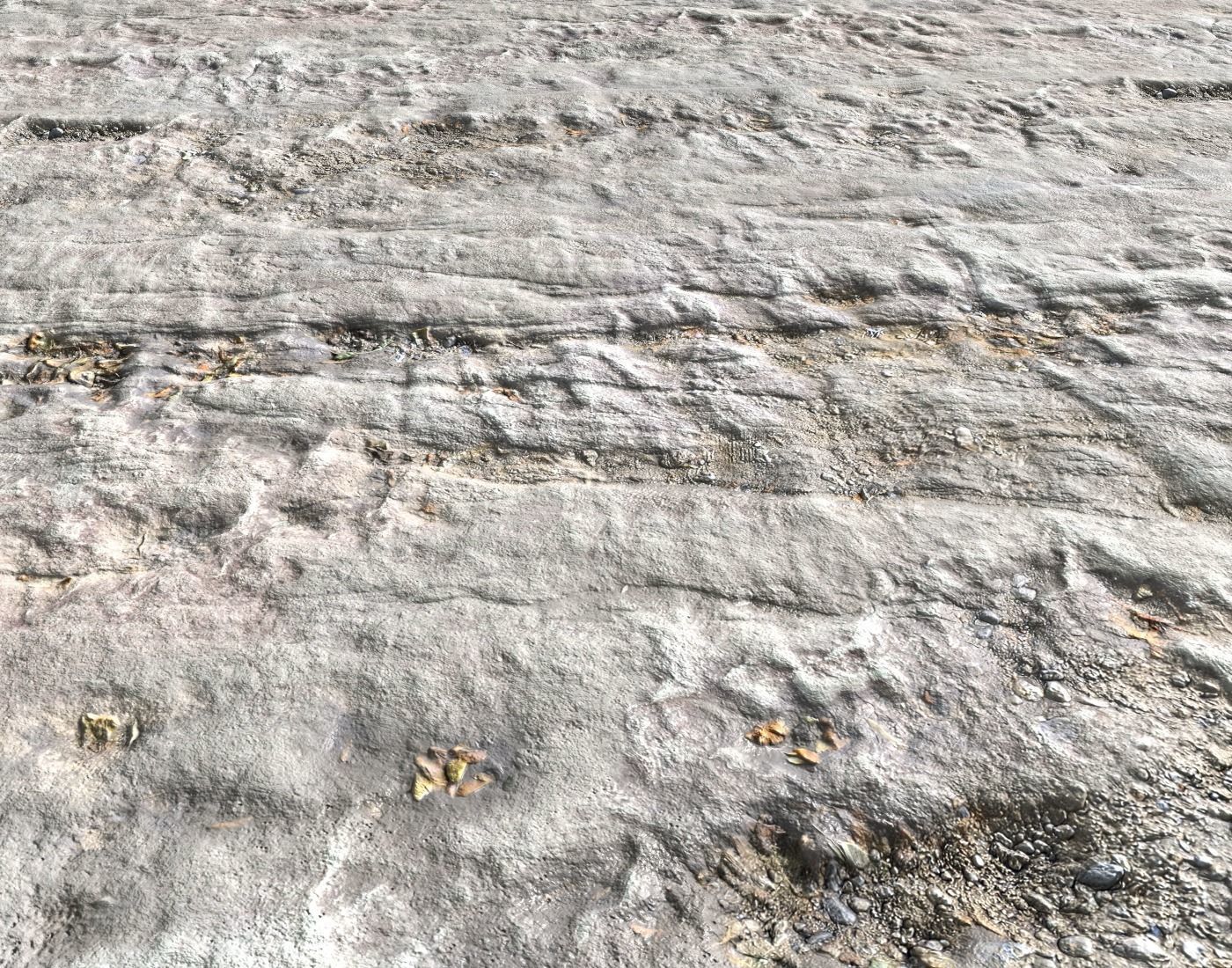 Arid White Ground PBR Texture_4