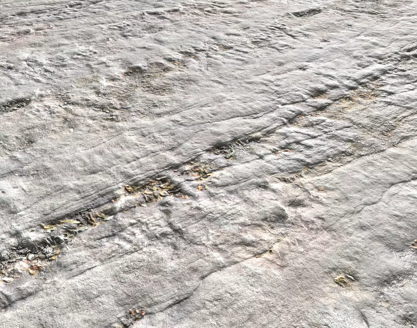 Arid White Ground PBR Texture_0