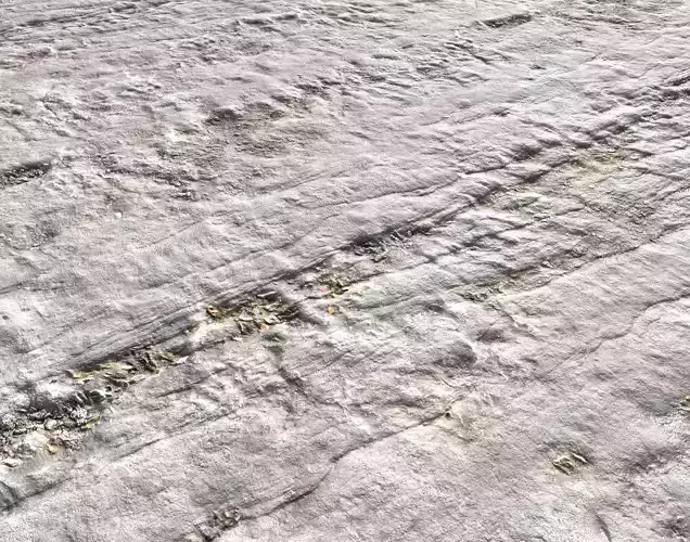 Arid White Ground PBR