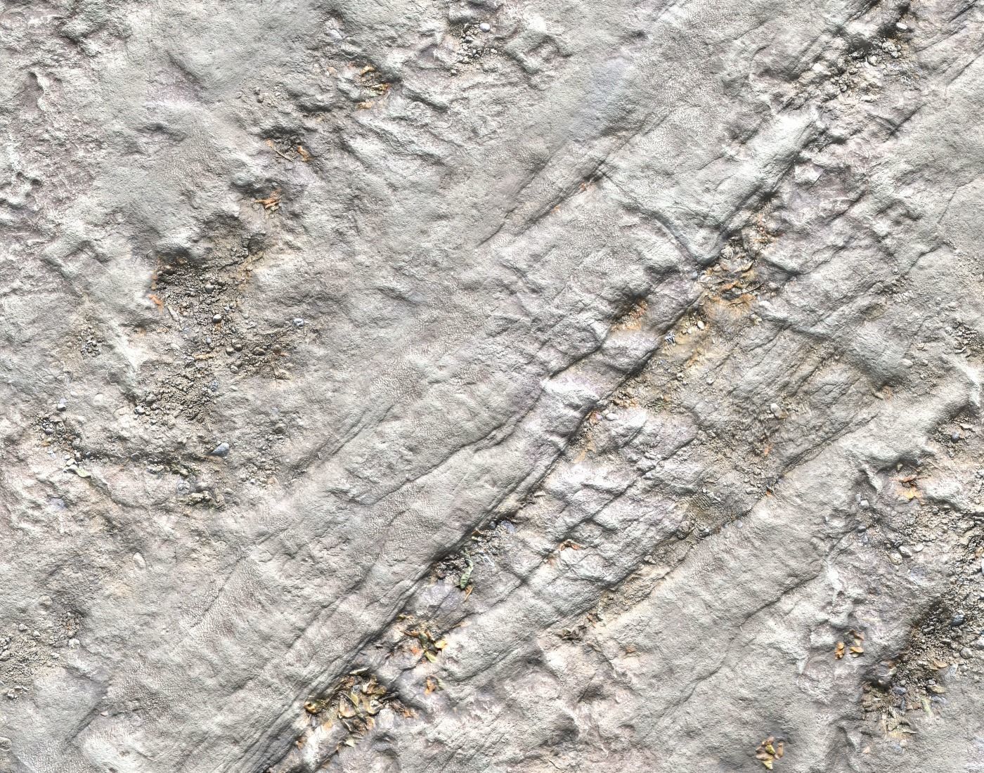 Arid White Ground PBR Texture_5