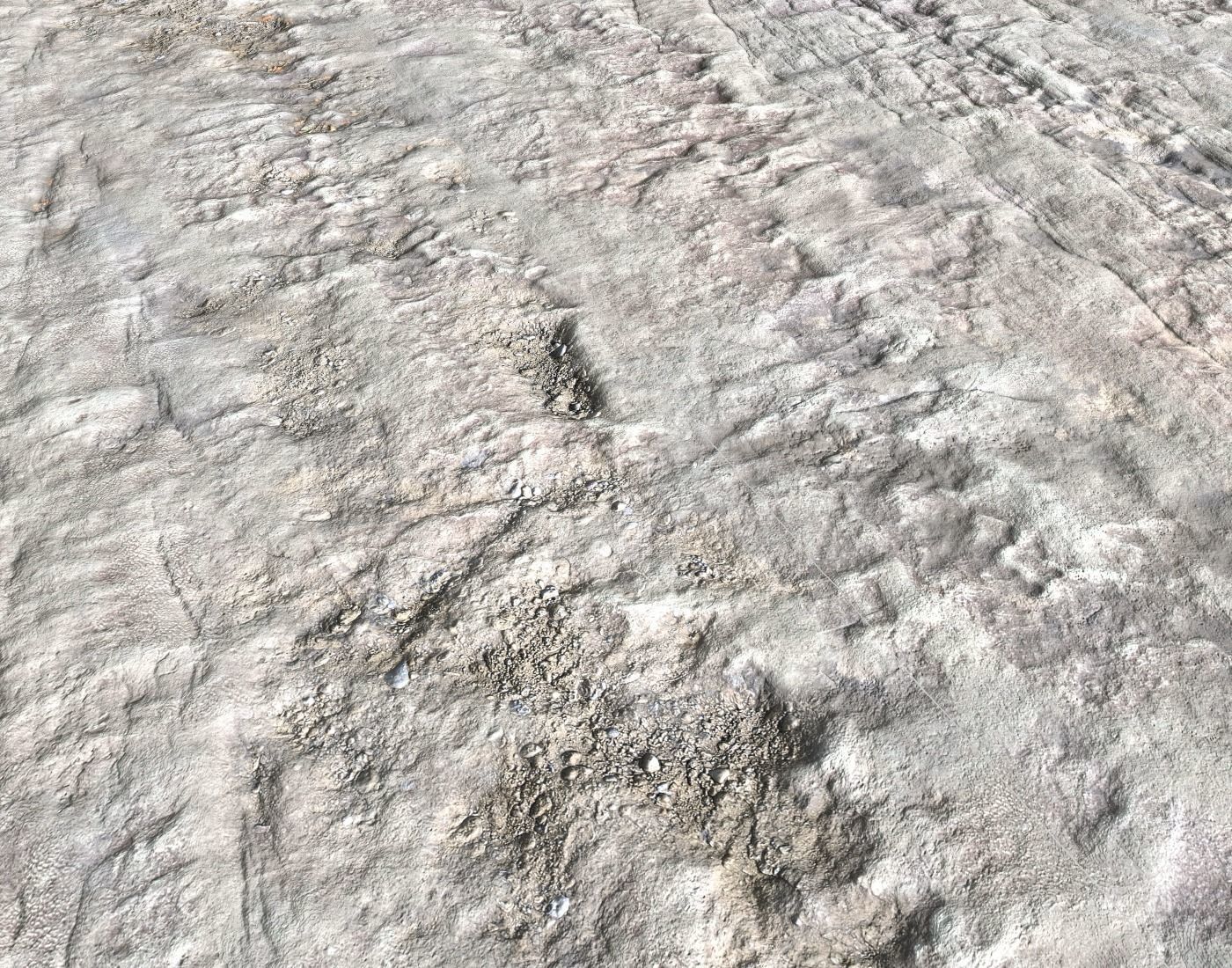 Arid White Ground PBR Texture_2