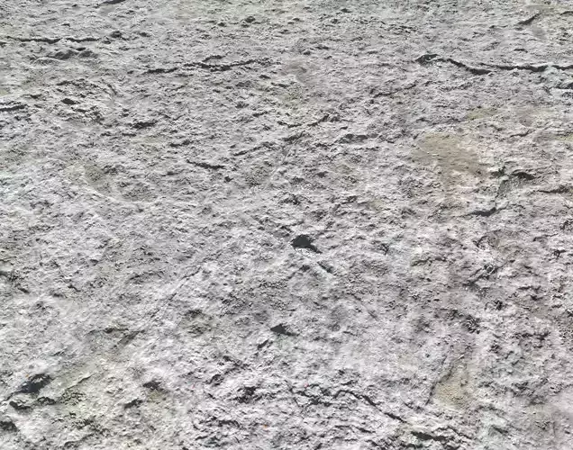 Rough White Ground PBR