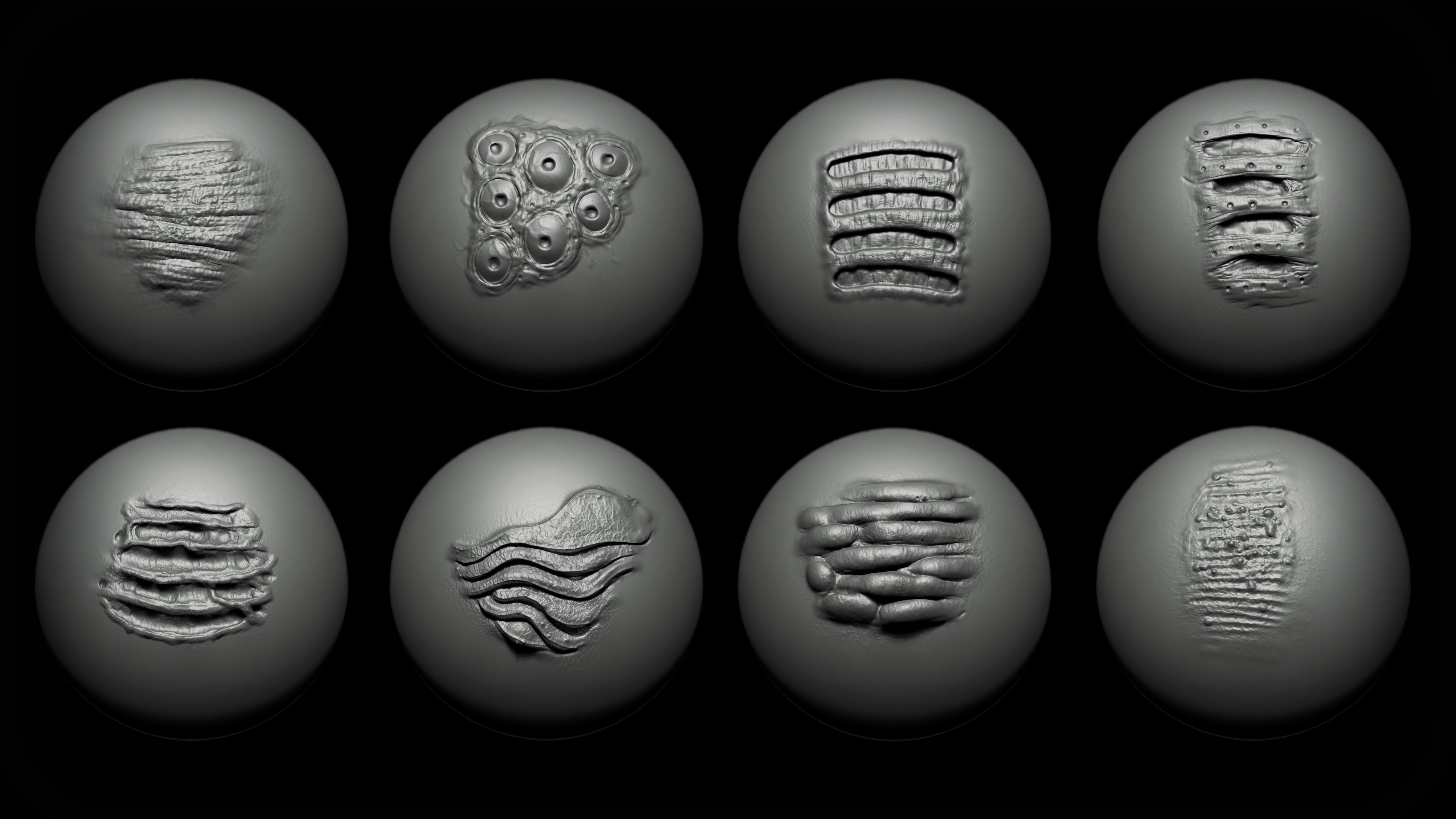Zbrush and Blender Alien VDM Brush 3D model_3