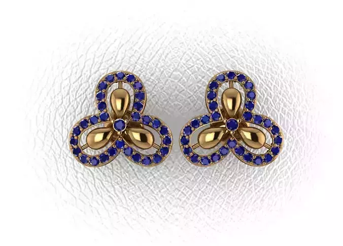 Elegant Earrings
