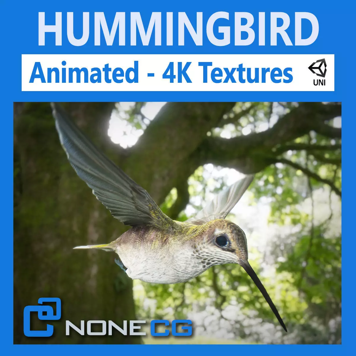Hummingbird Animated Unity Low-poly 3D model_0