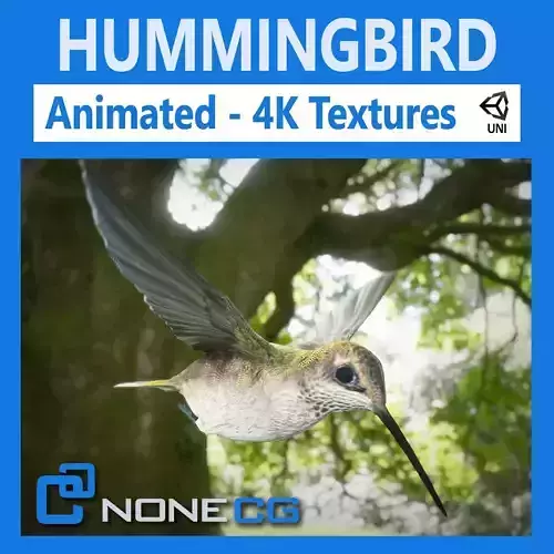 Hummingbird Animated Unity Low-poly 3D model