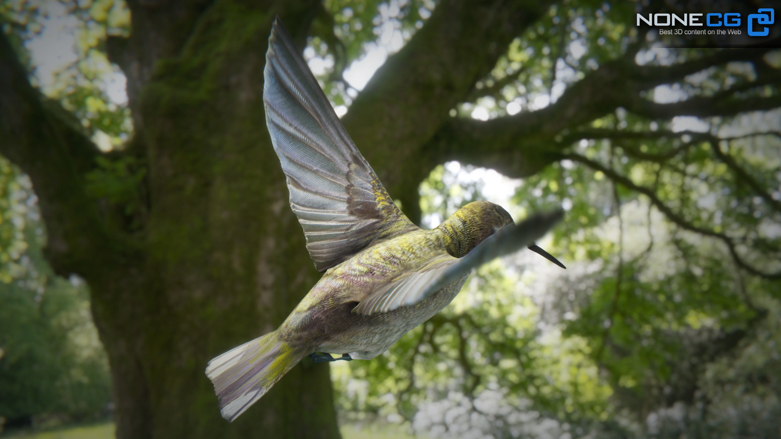 Hummingbird Animated Unity Low-poly 3D model_8