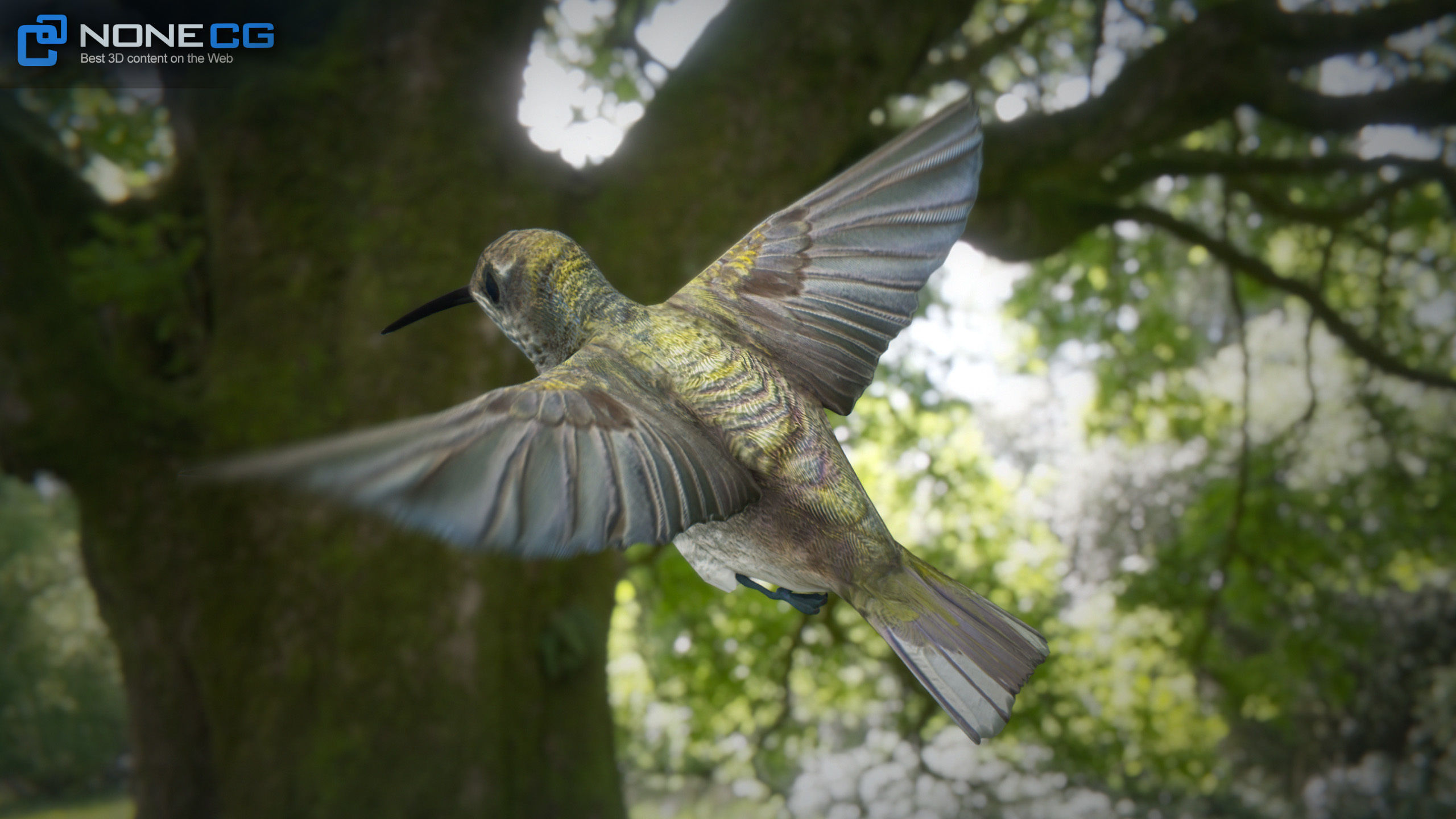 Hummingbird Animated Unity Low-poly 3D model_4