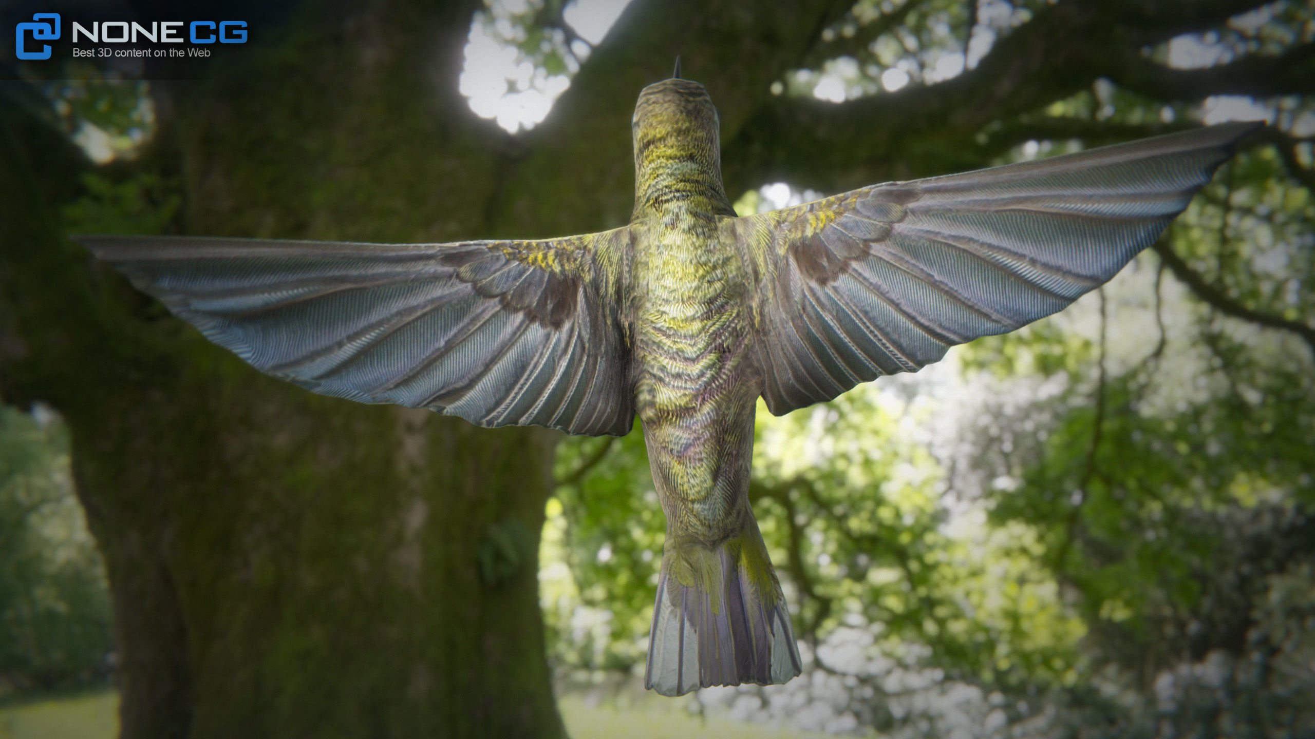 Hummingbird Animated Unity Low-poly 3D model_9