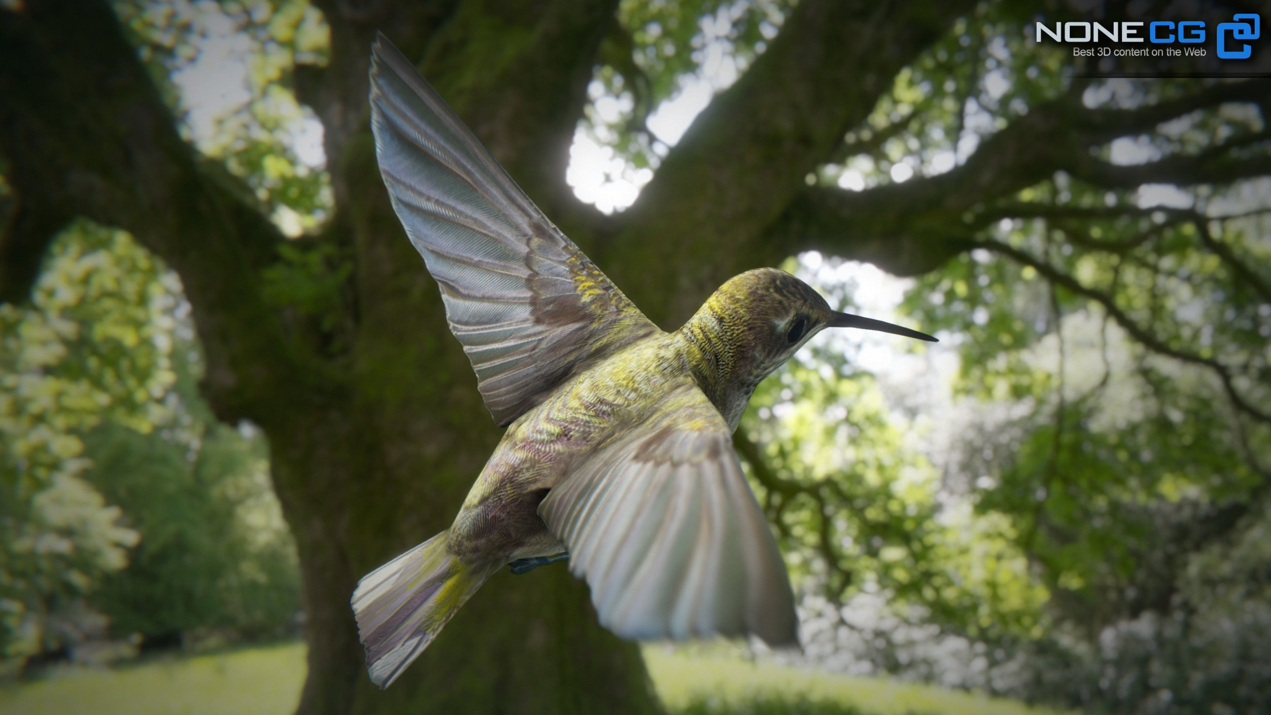 Hummingbird Animated Unity Low-poly 3D model_6