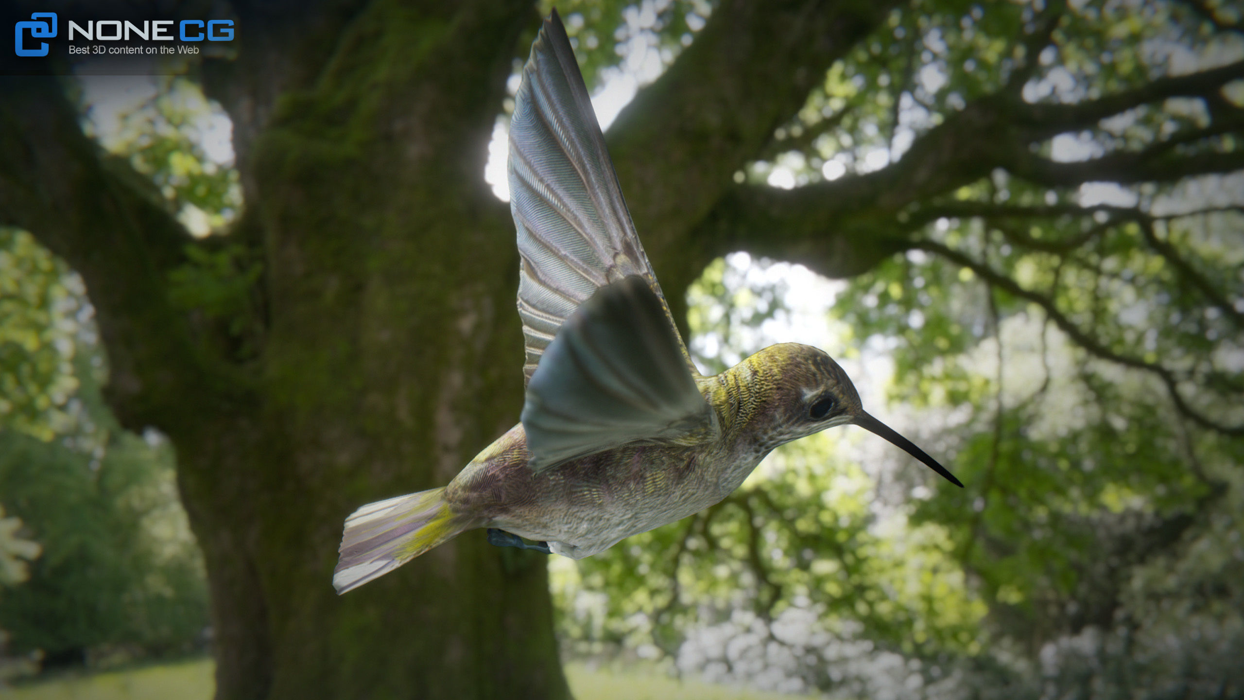 Hummingbird Animated Unity Low-poly 3D model_3