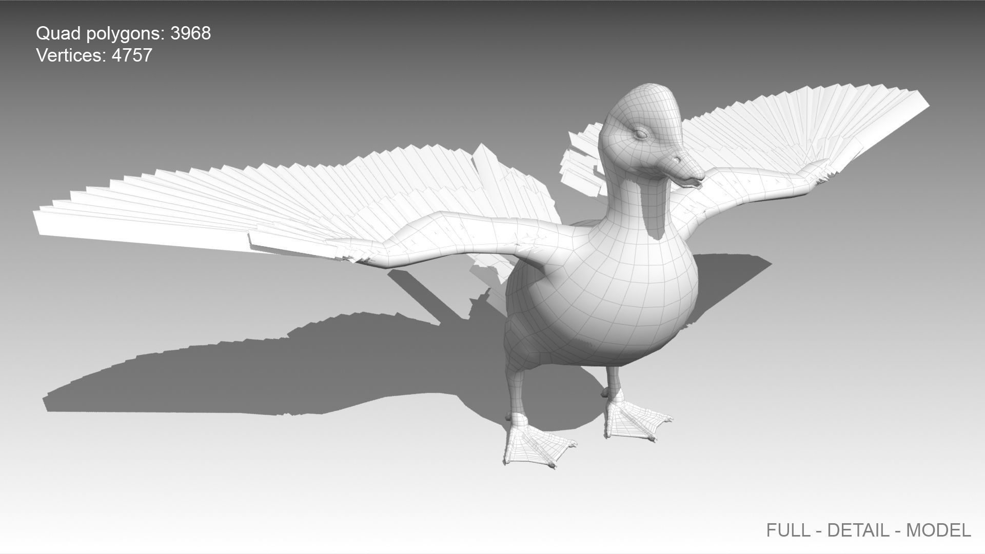 Long-tailed Duck Low-poly 3D model_12