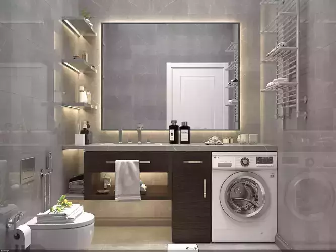 Wc bathroom interior 