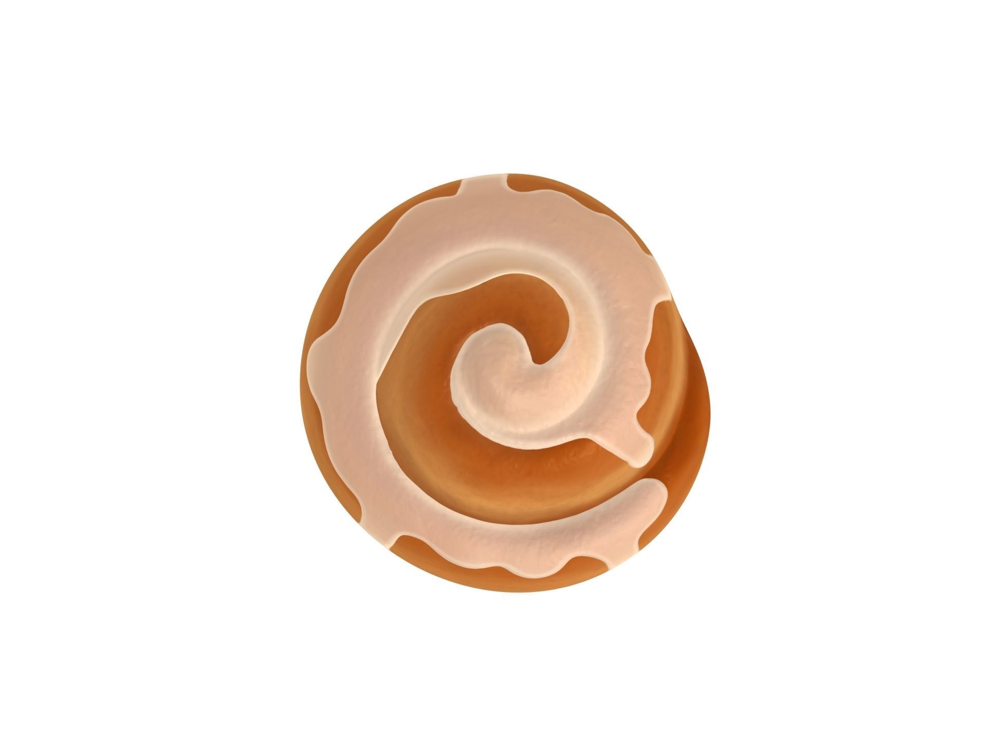 Cinnamon Roll  3D model_6