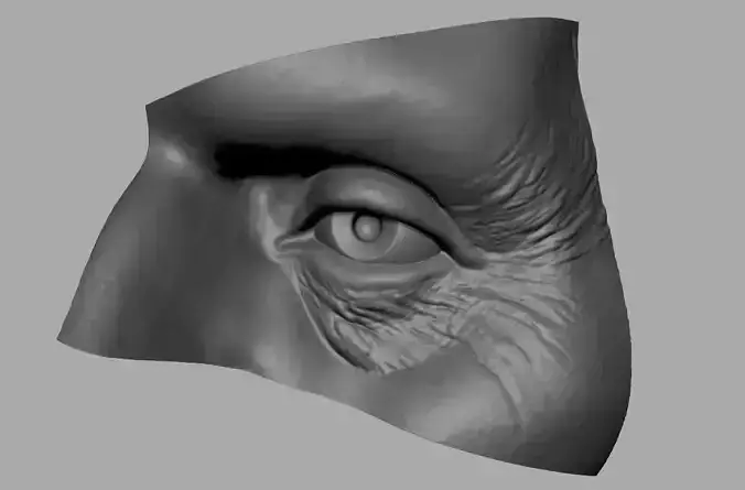 Eye Printable 3D print model