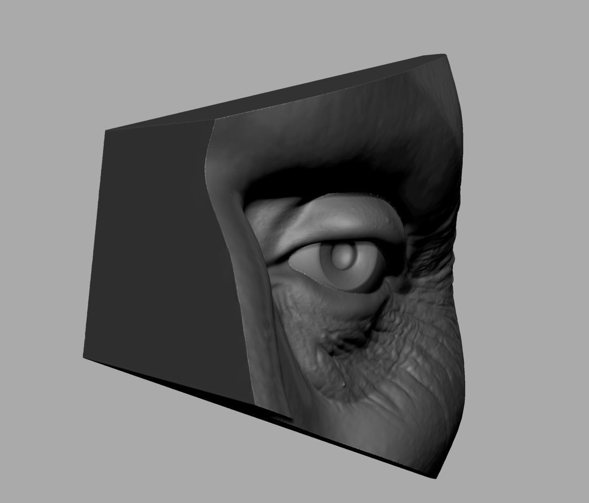 Eye Printable 3D print model_2